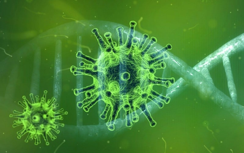 Coronavirus (fuente: Pixabay)