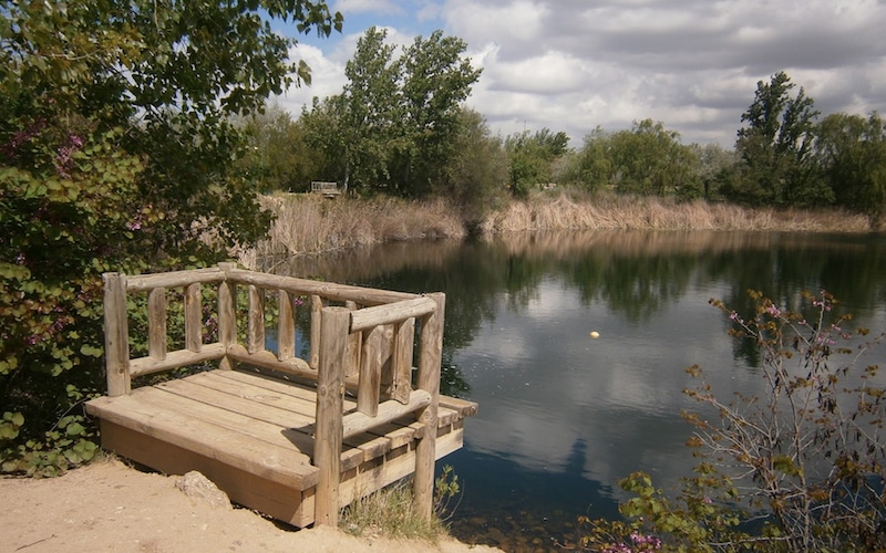 Laguna de las Madres (foto: Ayuntamiento de Arganda del Rey)