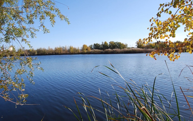 La Laguna de las Madres de Arganda presenta una calidad de agua entre “mala y moderada”, según Medio Ambiente
