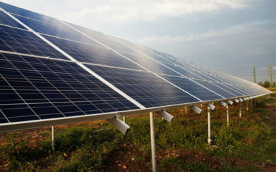 Asociaciones ecologistas alertan sobre la proliferación de instalaciones fotovoltaicas en el sureste, varias de ellas en Arganda
