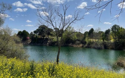 Las Lagunas de las Madres de Arganda, entre los humedales restaurados por la Comunidad de Madrid