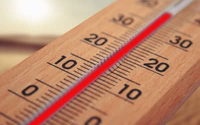 El Centro de Mayores de Arganda funcionará como Punto Frío durante el verano para hacer frente a las altas temperaturas