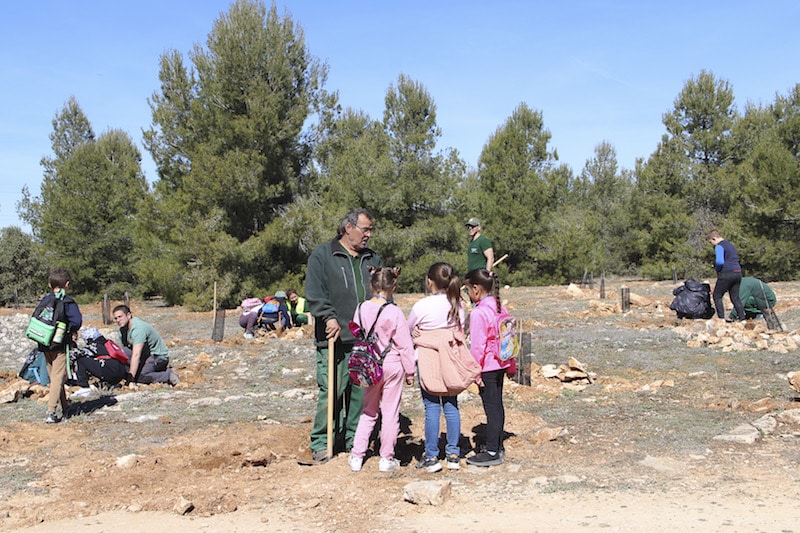 Plantación de arbolado en la Dehesa de El Carrascal (foto: Ayuntamiento de Arganda del Rey)