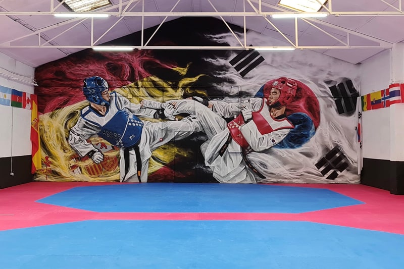 International Center Taekwondo en Arganda