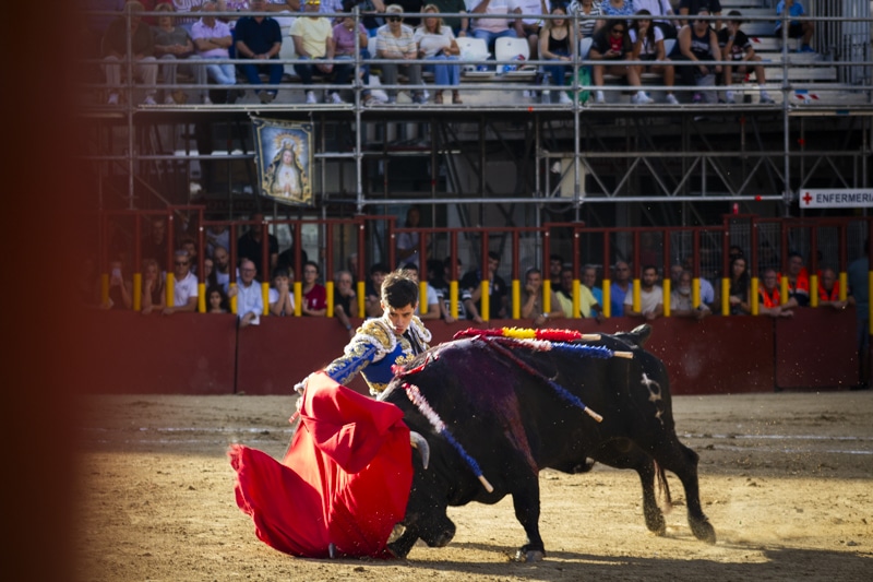 Juan Herrero durante la Feria de Novilladas Vid de Oro 2024 (foto: Diario de Arganda)